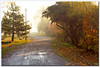 LNR > misc photo