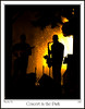 LNR > band playing in a park with a water fountain behind them lit by the setting sun