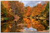 LNR > Lakes, Rivers and Bogs photo