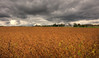LNR > HDR's and Processed photo