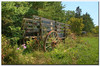LNR > HDR's and Processed photo