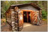 LNR > Part of the logging exhibit at Algonquin Park.