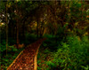 LNR > HDR's and Processed photo