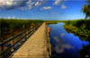 LNR > Point Pelee National Park