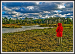 HDR's and Processed : 