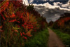 LNR > HDR's and Processed photo