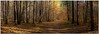 Panoramas : 
